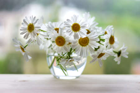 Bouquet of wild daisies in a small glass vase on wooden table and blurred background.の写真素材