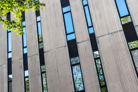 Narrow windows of old fashioned office building. Windows with reflections of skies and trees....