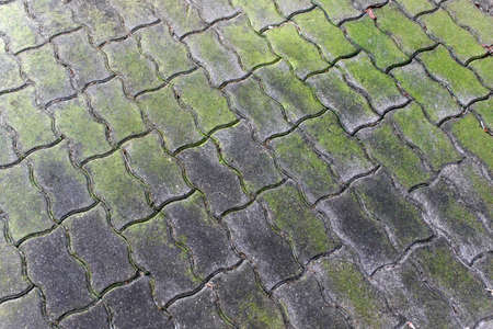 Weathered footpath pavement with green moss.の写真素材