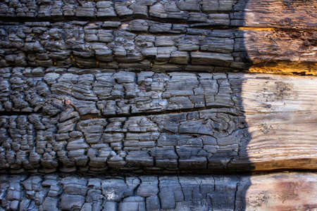 Texture of burnt wood. Junction of damaged wood and healthy one.の写真素材