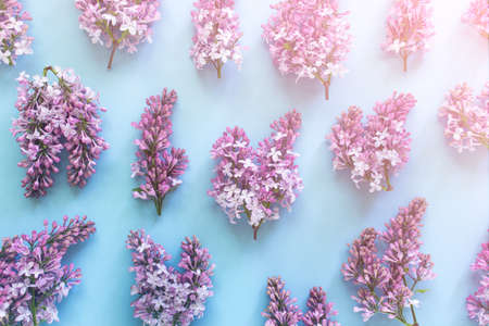 Pattern made of lilac flower branches on blue background. Romantic abstract syringa flower pattern. Top view, Flat lay.の写真素材