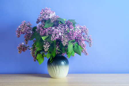 Bouquet of lilac flowers in a vase on blue background. Romantic summer syringa flowers.の写真素材