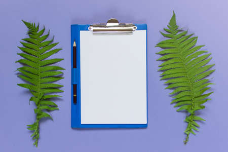 Creative desktop with two fern leaves, notebook and pensil on violet background. Top view, Flat lay.