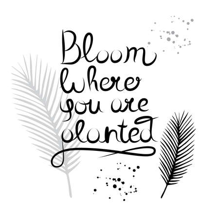Typography motivational quote - Bloom where you are planted. Hand drawn lettering.のイラスト素材