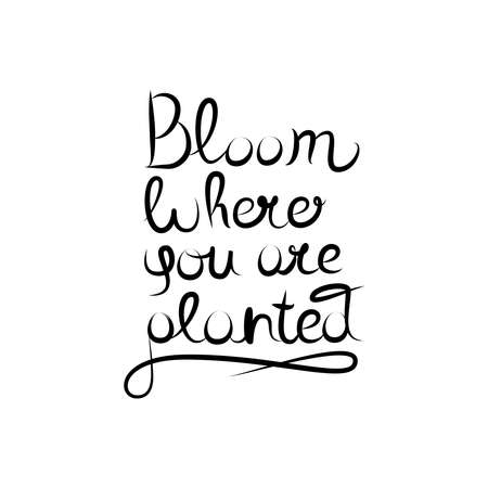 Typography motivational quote - Bloom where you are planted. Hand drawn lettering.のイラスト素材