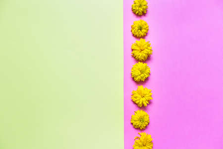 Flat lay with yellow summer flowers on yellow and pink background. Greeting card with copy blank space.の写真素材