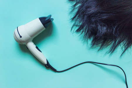 Electric hair dryer and damaged hair on minty green background. Hair repair concept.