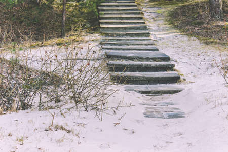 Concrete stairs leading from the sandy beach into the forest. Photo taken on the Baltic seaside.の写真素材