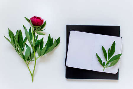 Peony flower with large square black notebook and small opened notebook with white blank paper sheets.の写真素材