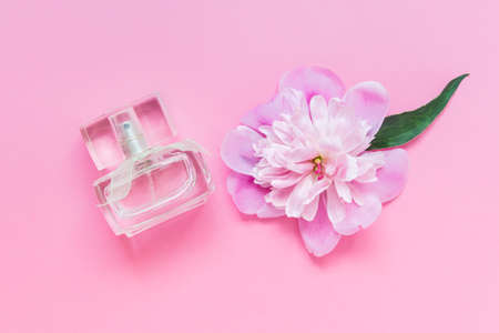 Perfume bottle with pink pastel colored peony flower on pink background. Photo with empty blank...