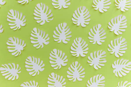 Pattern with many handmade paper cut tropical plant Monstera leaves on bright green background.