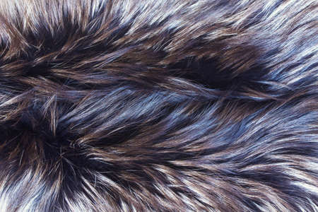 Close up of a synthetic fur texture with long dark white bristles. Photo tinted with pink magenta...