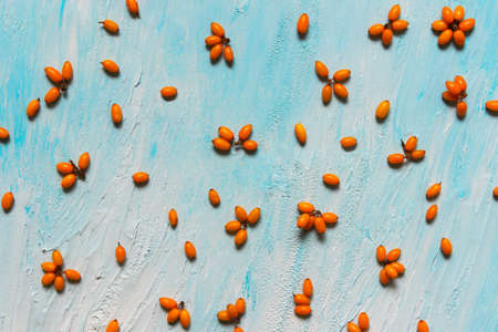Creative autumn background with sea buckthorn berries arranged on blue white textured plaster paint surface.の写真素材