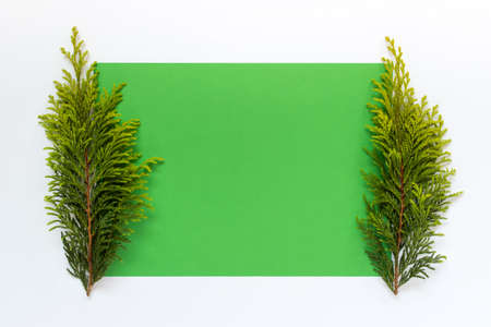 Presentation winter mock up with green paper sheet and two evergreen plant branches on white...