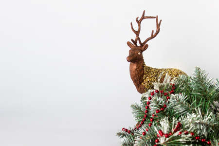 Front view of Christmas composition with reindeer, Christmas tree evergreen decorated with red garland on white background. Photo with copy blank space.の写真素材