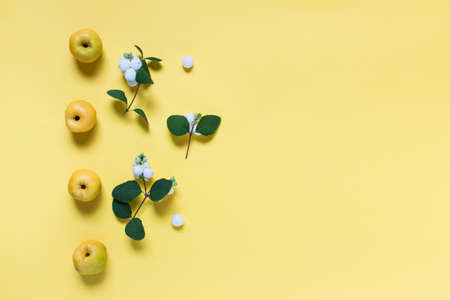 Simple autumnal botanical composition layout with wild apples and berries on yellow background. Photo with copy blank space.の写真素材
