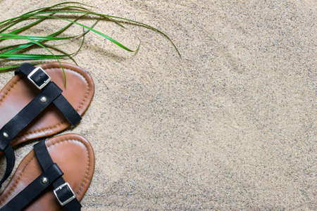Summer composition with female sandals standing on sand surface. Photo with copy blank space.の写真素材