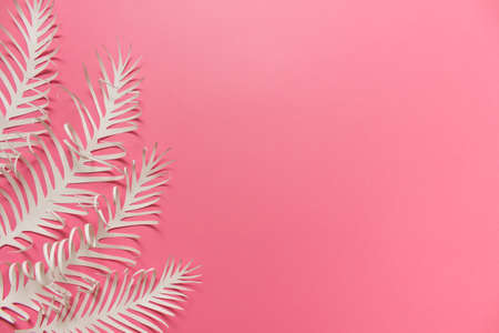 Pink background with white leaves feathers on pink background. Photo with copy blank space.