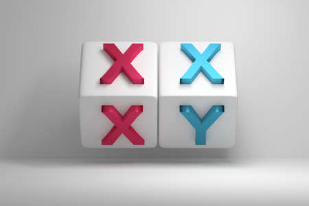 Concept illustration with two cubes and male and female chromosomes XX and XY letters. 3d illustration.の写真素材