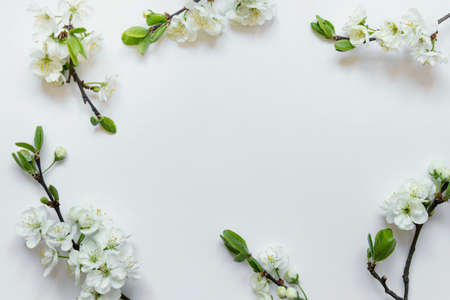 Arrangement of blooming apple tree twigs around the border. Photo with copy blank space in the center.の写真素材