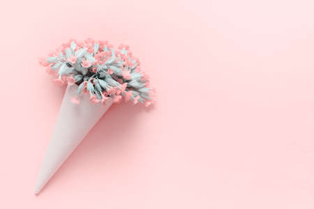 Little bouquet of primula flowers. Tinted photo with pink color. Greeting card with copy blank...
