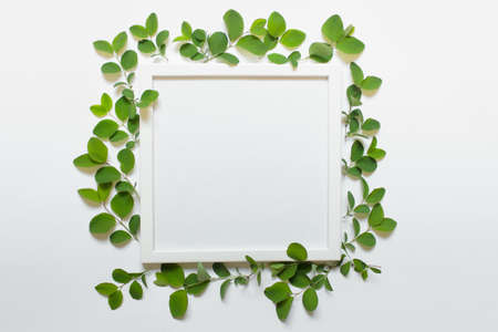 Square frame template mockup with copy blank space and plant leaves branches. Photo with copy blank...