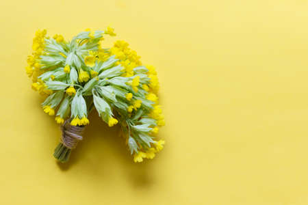 Little bouquet of yellow primula flowers with packthread on yellow background. Photo with copy blank...