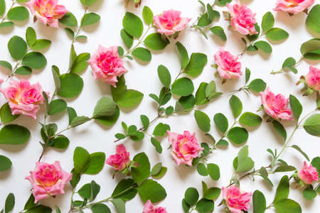 Nature pattern lay out made with green plant branches and pink rose buds on white background.の写真素材