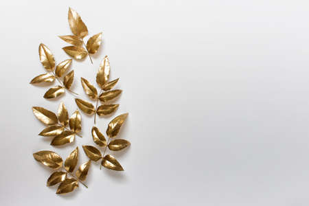 Row of decorative golden plant leaves on white background. Photo with copy blank space.