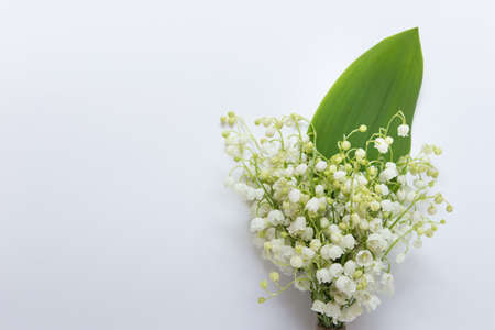 Summer spring bouquet with white forest lilies of  valley. Photo with copy blank space.の写真素材