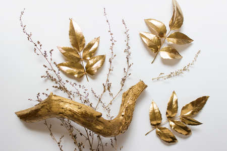 Decorative nature composition with golden leaves, wooden golden branch and dry plant branches on white background.の写真素材