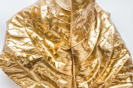 Closeup of aged dry textured autumn leaf with visible veins painted with golded metallic paint on white background.の写真素材
