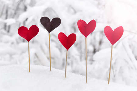 Valentine day greeting card with many red hearts on real snow background.の写真素材