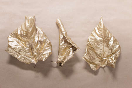 Yellow golden dry wrapped rolled autumn leaves on craft paper background.の写真素材