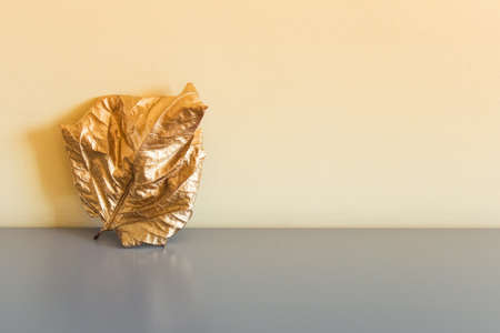 One golden leaf on gray table surface next to yellow wall. Photo with copy blank space.の写真素材