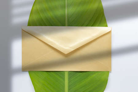 Composition with golden envelope and green leaf with window shadow overlay.