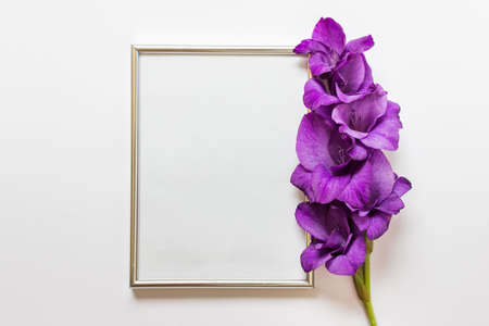 Flat lay with one silver A4 frame and purple flower gladiolus on white background.の写真素材