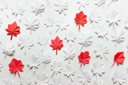 Autumn white pattern with handmade white and red maple leaves on white background.の写真素材