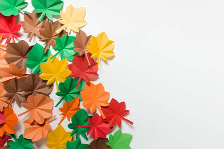 Abstract background with many colorful autumn leaves on white background. Image with copy blank space.の写真素材