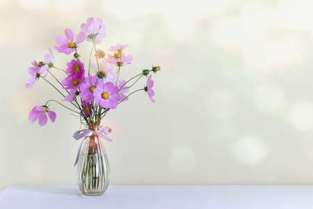 Simple background with pink field Chrysanthemum flowers in glass vase. Photo with copy blank space.の写真素材