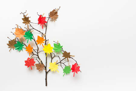 Simple autumn decorative element - dry branch with paper colorful maple leaves on white background. Image with copy blank space.の写真素材