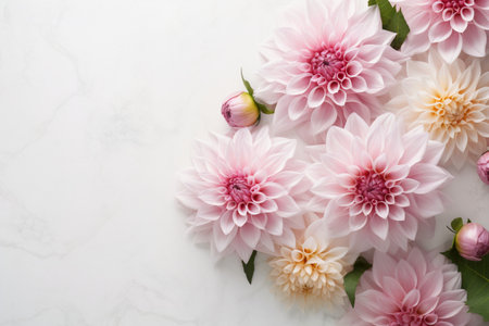 An elegant and delicate dahlia with vibrant pink petals, creating a beautiful and romantic scene. The decorative flowers are showcased in a flat lay composition with copy space. Generative AIの素材