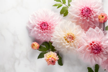 Flat lay of a pink dahlia. Delicate flowers and elegant petals create a romantic and feminine scene. Floral close-up. Generative AIの素材
