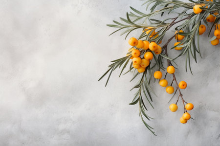 Delicate summer background with sea buckthorn plant branch against gray background, image with copy blank space, Generative AIの素材