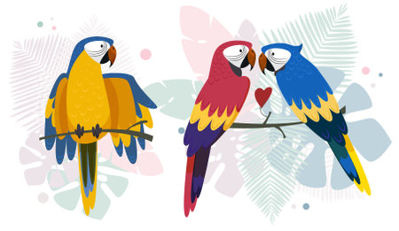 Three parrots on the background of nature, foliage. Isolated vector image on a white backgroundのイラスト素材