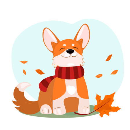 Cute corgi with a maple leaf in a scarf, dog, autumn. vector graphicsのイラスト素材