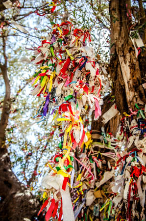 Tied ribbons on the tree of desires on the island of Camellia in the Aegean Sea. Turkey.の写真素材