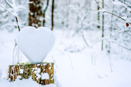 A big heart of snow stands on a snow-covered hemp in a winter forest.の写真素材