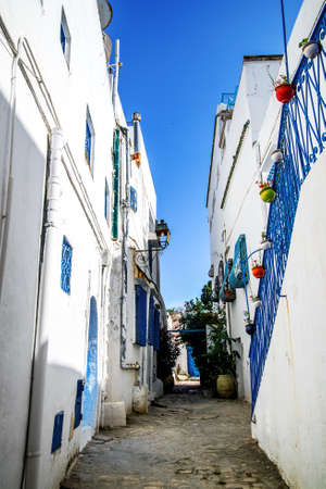 Cozy courtyard with many plants. Sidi Bou Said Tunisia.の写真素材