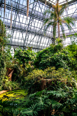 An exotic garden in the Kiev Botanical Garden. Ukraineの写真素材